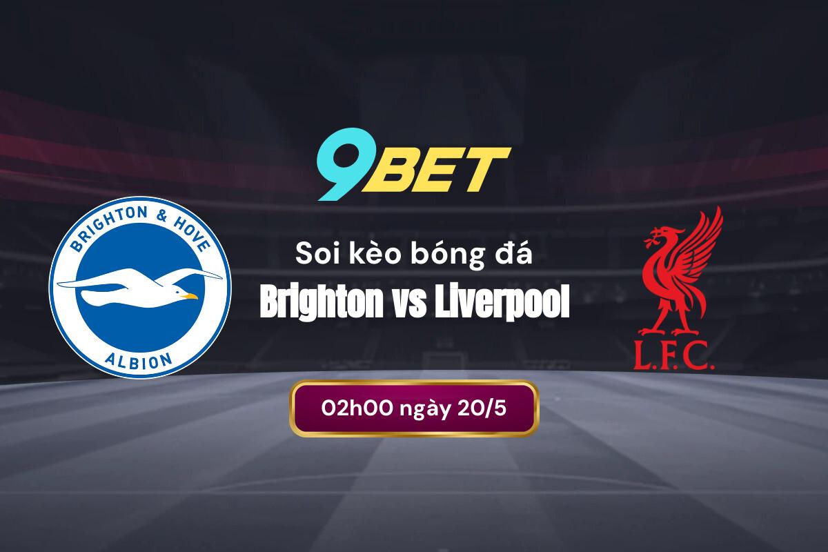 Soi Kèo Bóng đá Brighton Vs Liverpool 9bet